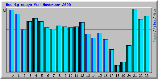 Hourly usage for November 2020