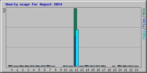 Hourly usage for August 2024