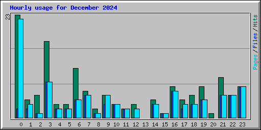Hourly usage for December 2024