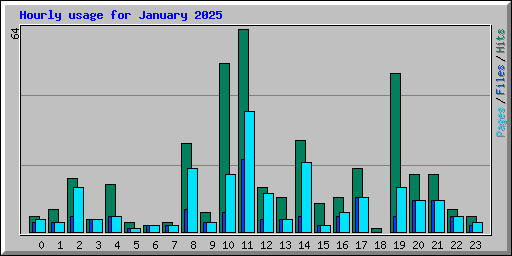Hourly usage for January 2025