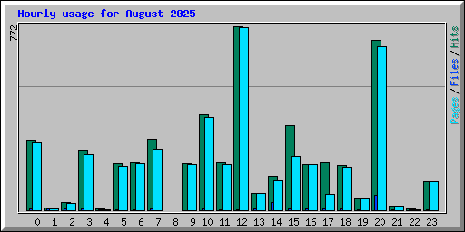 Hourly usage for August 2025
