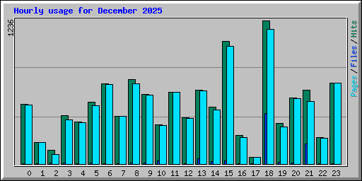 Hourly usage for December 2025