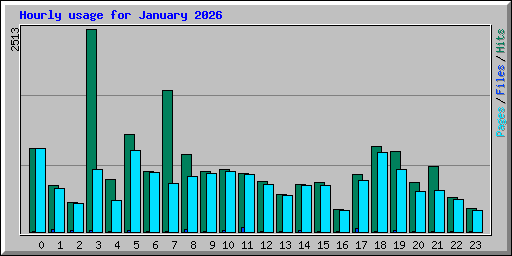 Hourly usage for January 2026