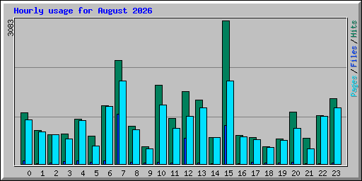 Hourly usage for August 2026