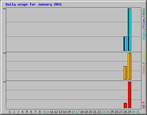 Daily usage for January 2021