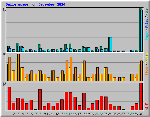 Daily usage for December 2024