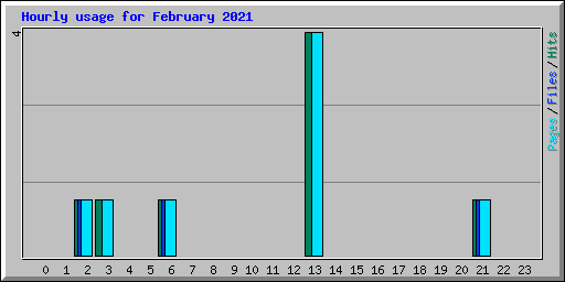 Hourly usage for February 2021