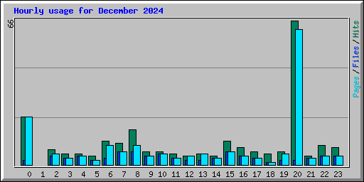 Hourly usage for December 2024