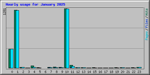 Hourly usage for January 2025