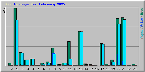Hourly usage for February 2025