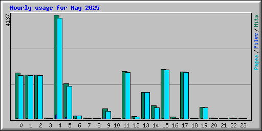 Hourly usage for May 2025
