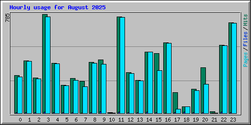 Hourly usage for August 2025
