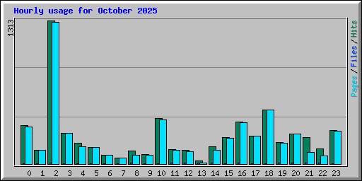 Hourly usage for October 2025
