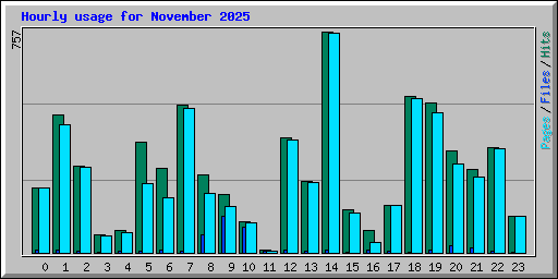 Hourly usage for November 2025