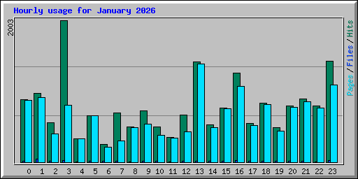 Hourly usage for January 2026