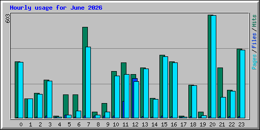 Hourly usage for June 2026