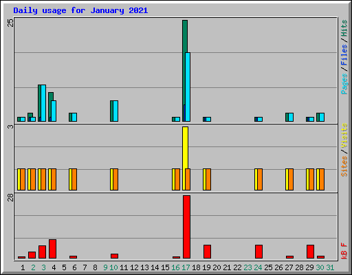 Daily usage for January 2021