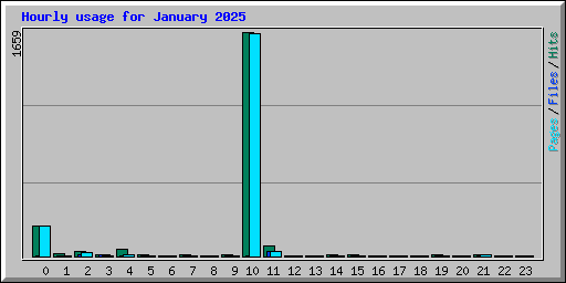 Hourly usage for January 2025