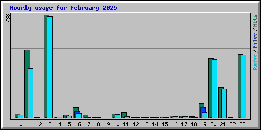 Hourly usage for February 2025