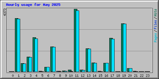 Hourly usage for May 2025