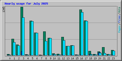 Hourly usage for July 2025