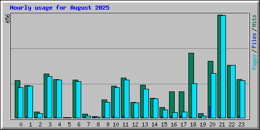 Hourly usage for August 2025