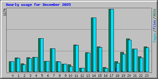 Hourly usage for December 2025