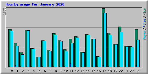 Hourly usage for January 2026