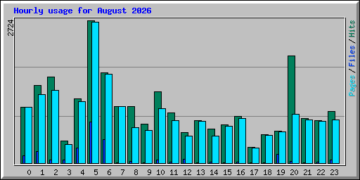Hourly usage for August 2026