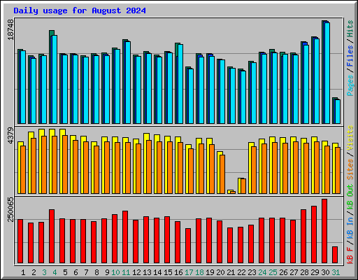 Daily usage for August 2024