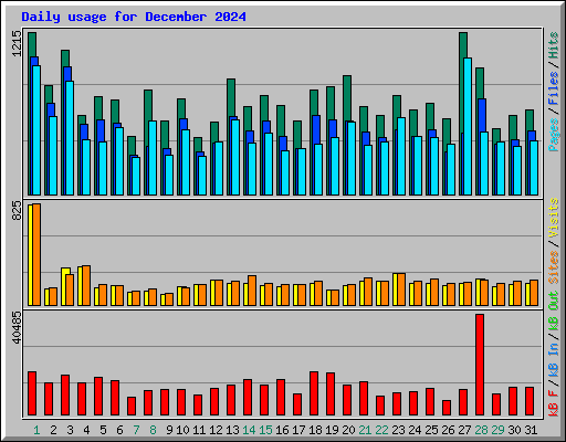 Daily usage for December 2024