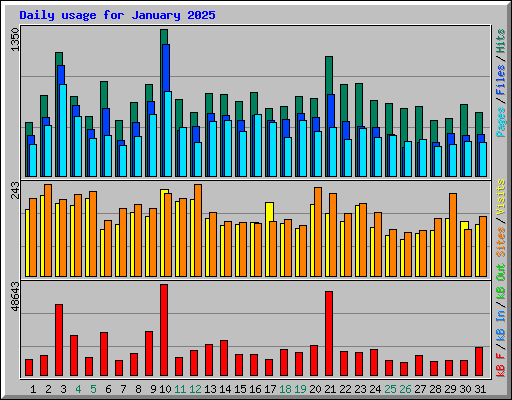 Daily usage for January 2025