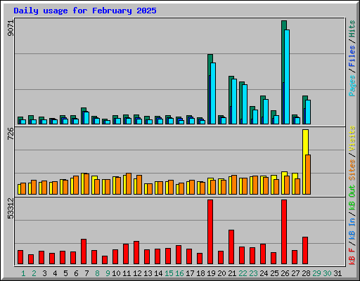 Daily usage for February 2025