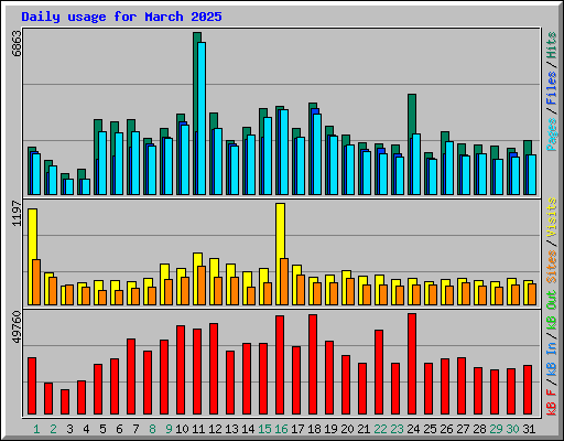 Daily usage for March 2025