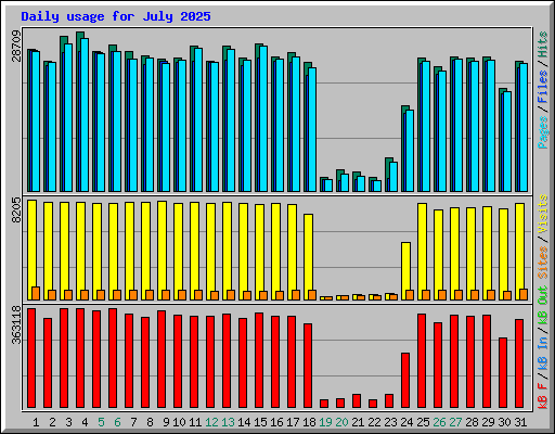 Daily usage for July 2025