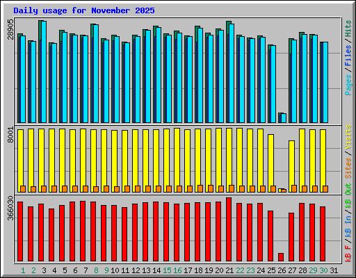 Daily usage for November 2025