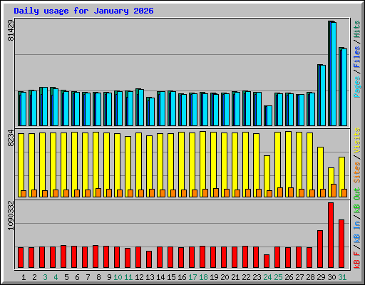 Daily usage for January 2026