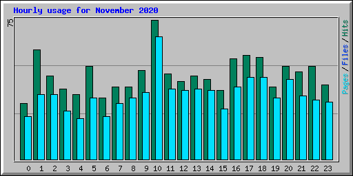 Hourly usage for November 2020