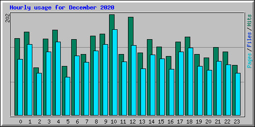 Hourly usage for December 2020