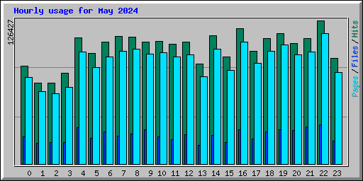 Hourly usage for May 2024