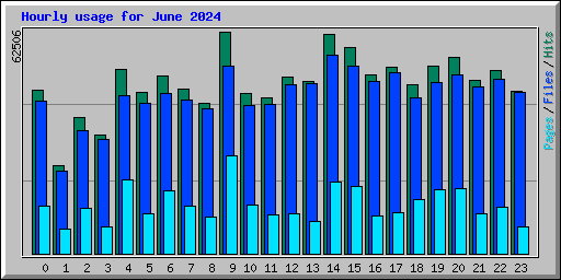 Hourly usage for June 2024