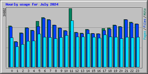 Hourly usage for July 2024