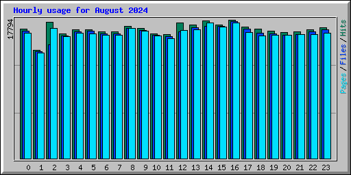 Hourly usage for August 2024
