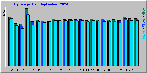 Hourly usage for September 2024