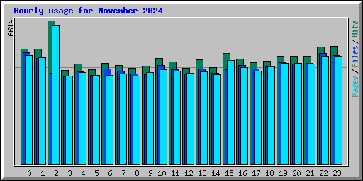 Hourly usage for November 2024