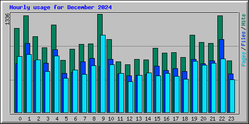 Hourly usage for December 2024