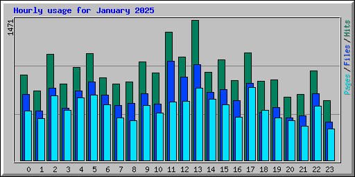 Hourly usage for January 2025