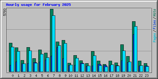 Hourly usage for February 2025