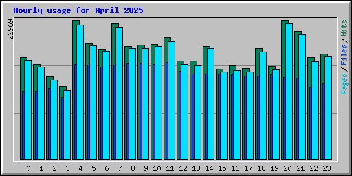 Hourly usage for April 2025