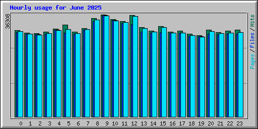 Hourly usage for June 2025